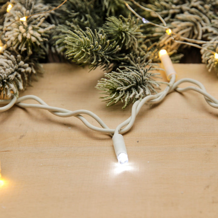 Catena luminosa calda 100 LED 10 m con flash professionale