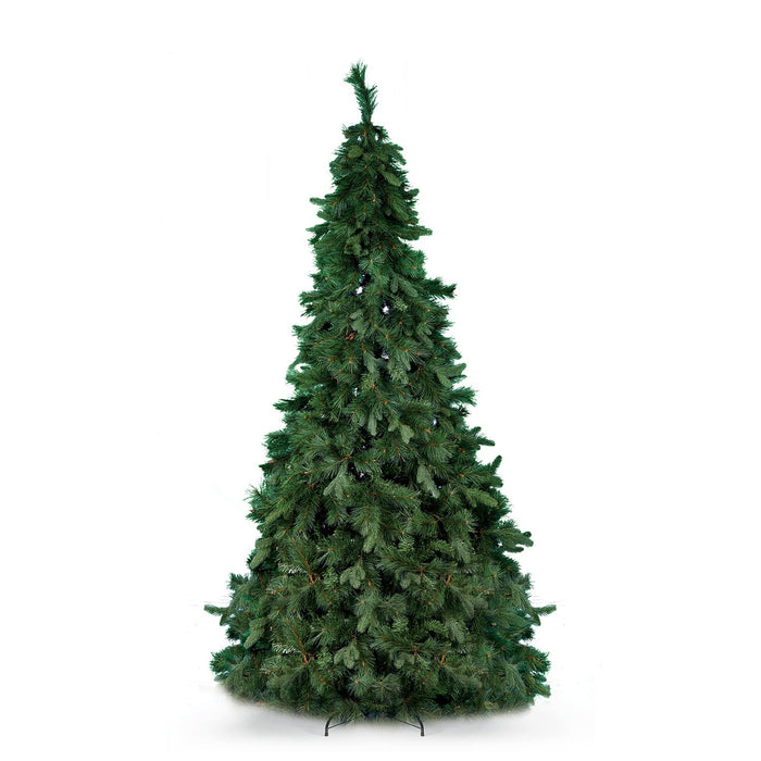Abete Verde Magnifica H 270cm