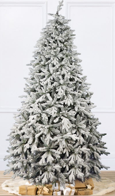 Abete Procera innevato H 270cm, D.170CM