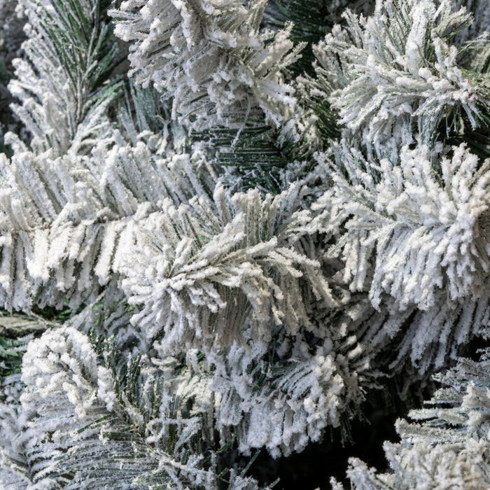 Abete Grandis innevato H 270cm, D.160cm