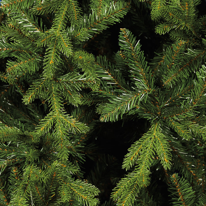 Abete Forrest H 240cm, D.155cm