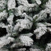 Abete Procera innevato H 270cm Default Title